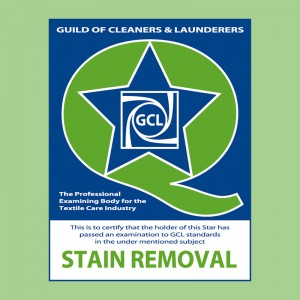 Q Star Exam - Stain Removal